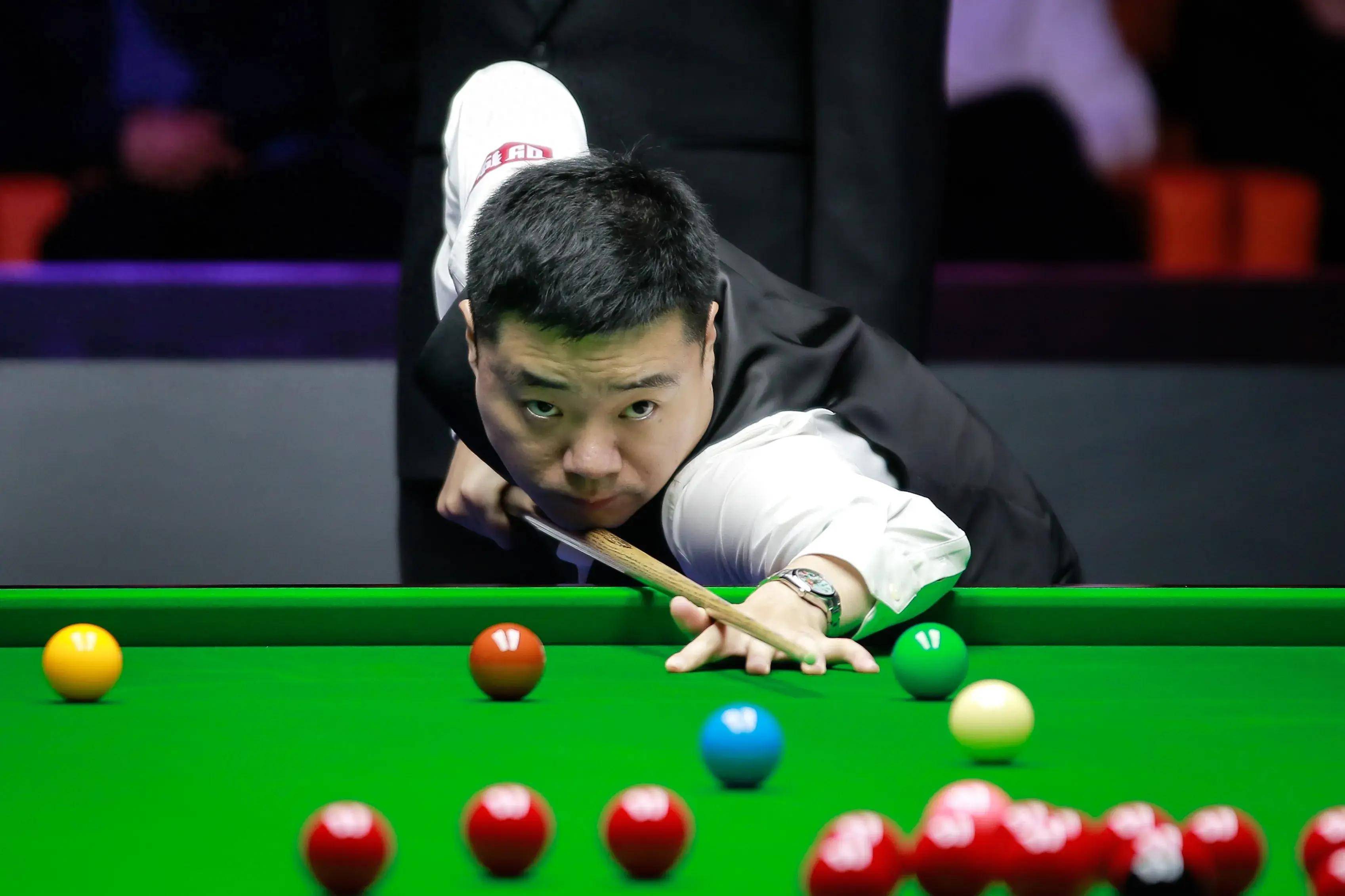 也揭示了网 也揭示了网